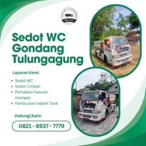 Sedot WC Gondang Tulungagung